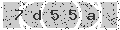 verify code